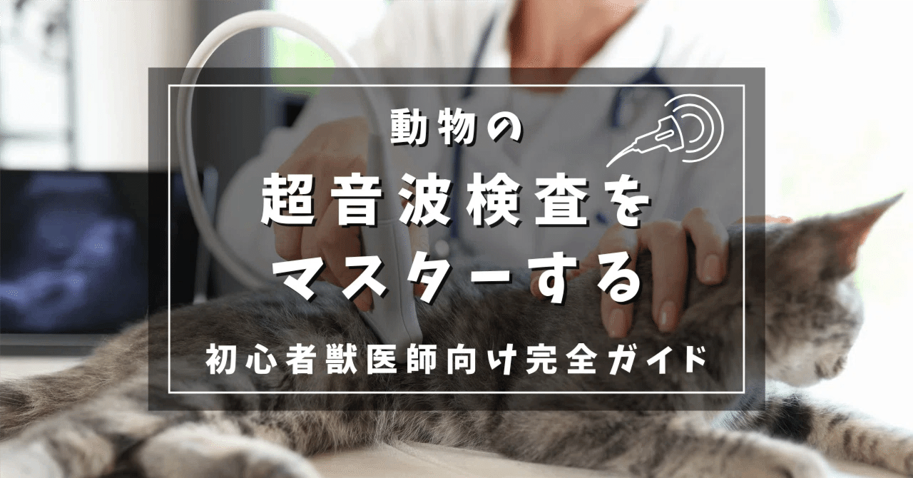動物の超音波検査をマスターする~初心者獣医師向け完全ガイド｜岩吉 勇