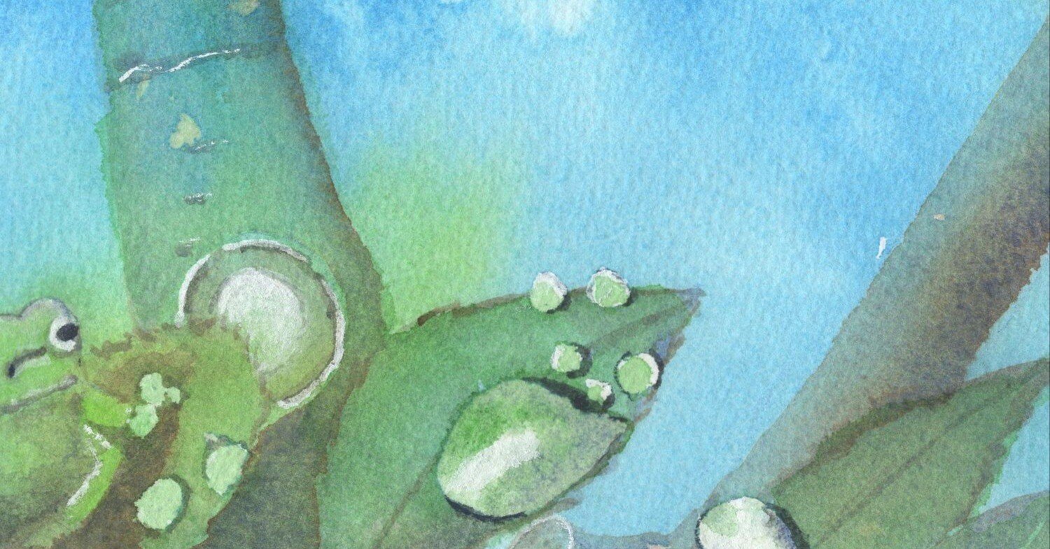 世界カエルの日（水彩画）⚠️閲覧注意｜ちろ