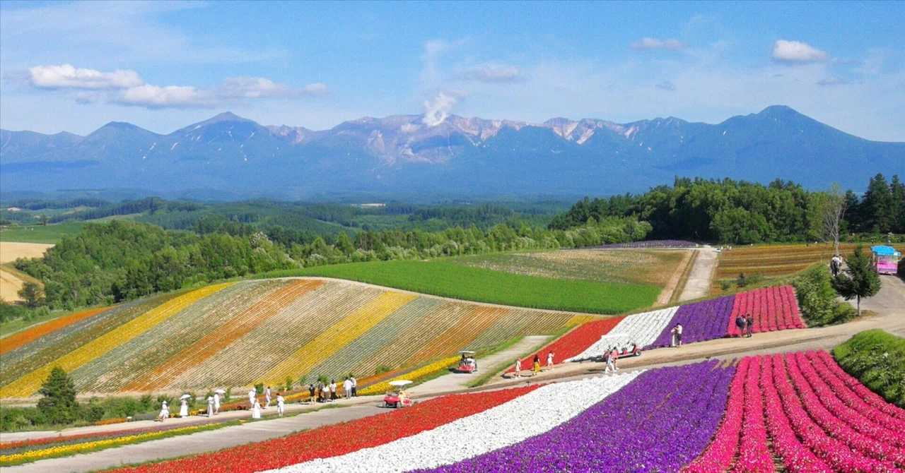 1泊2日で美瑛・富良野の旅（2021年7月17日～18日）《その2》～四季彩
