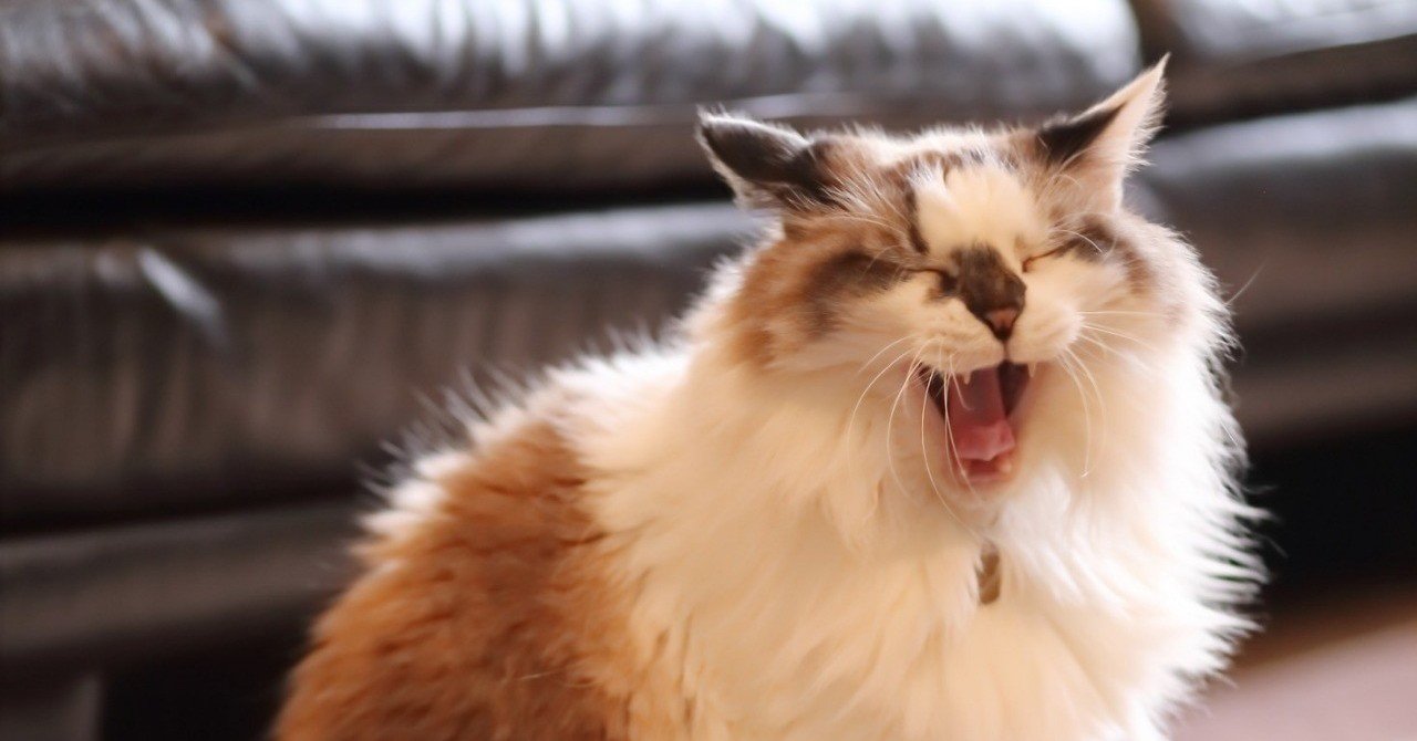 作ろうぜ 最高のお笑い系 じわる フォルダ 沢村脩 Note