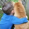 ワンコと音楽♪毎日が癒し♡