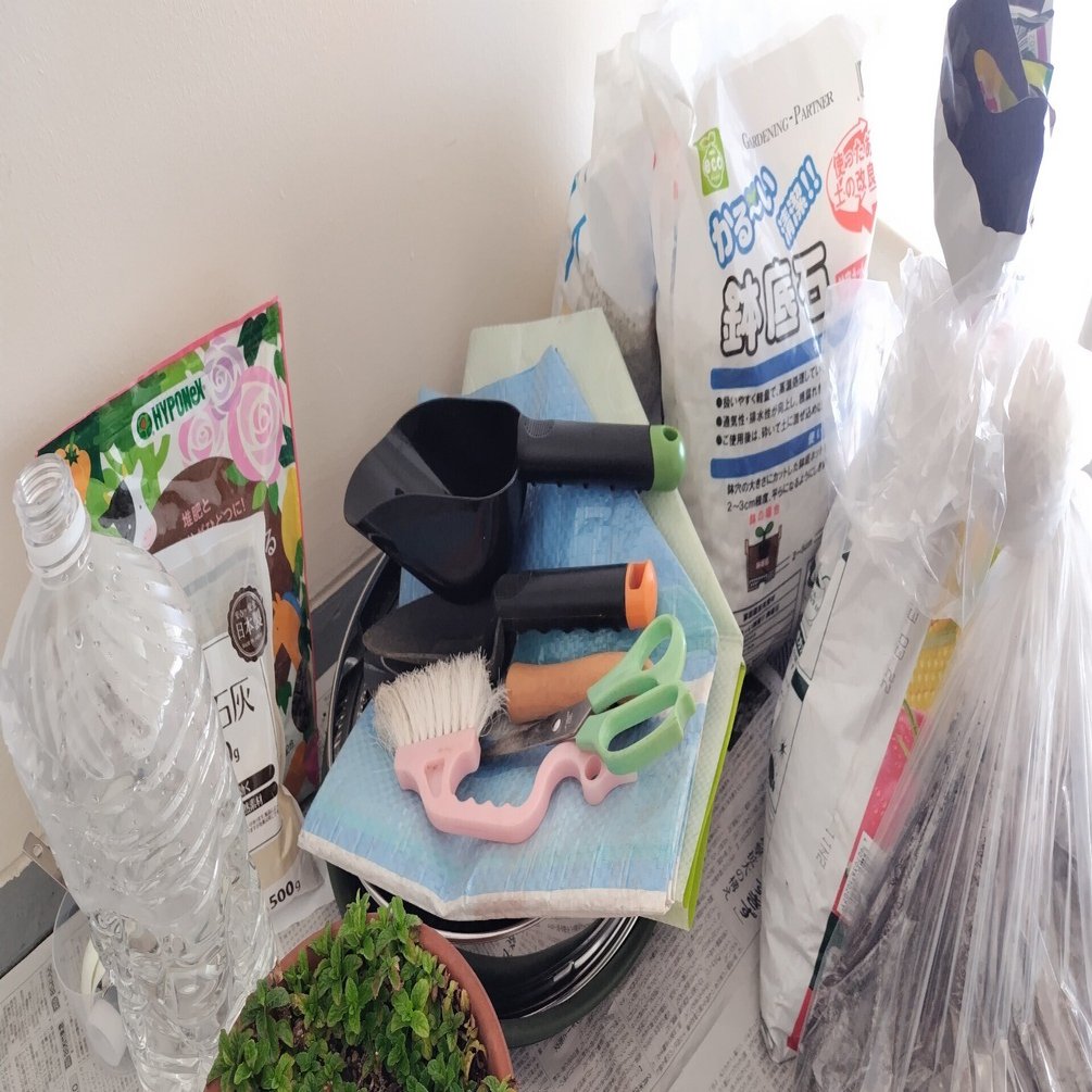 ミントを植え直すよ～｜マッコ