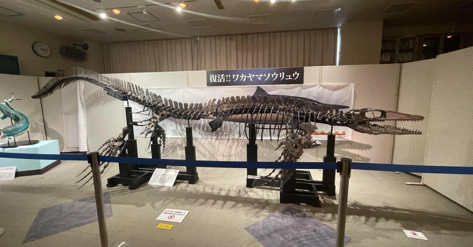 ワカヤマソウリュウの化石を見に行きました｜寺島ヒロ