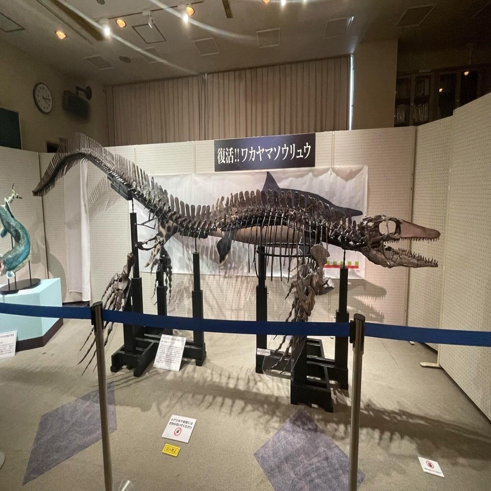 ワカヤマソウリュウの化石を見に行きました｜寺島ヒロ