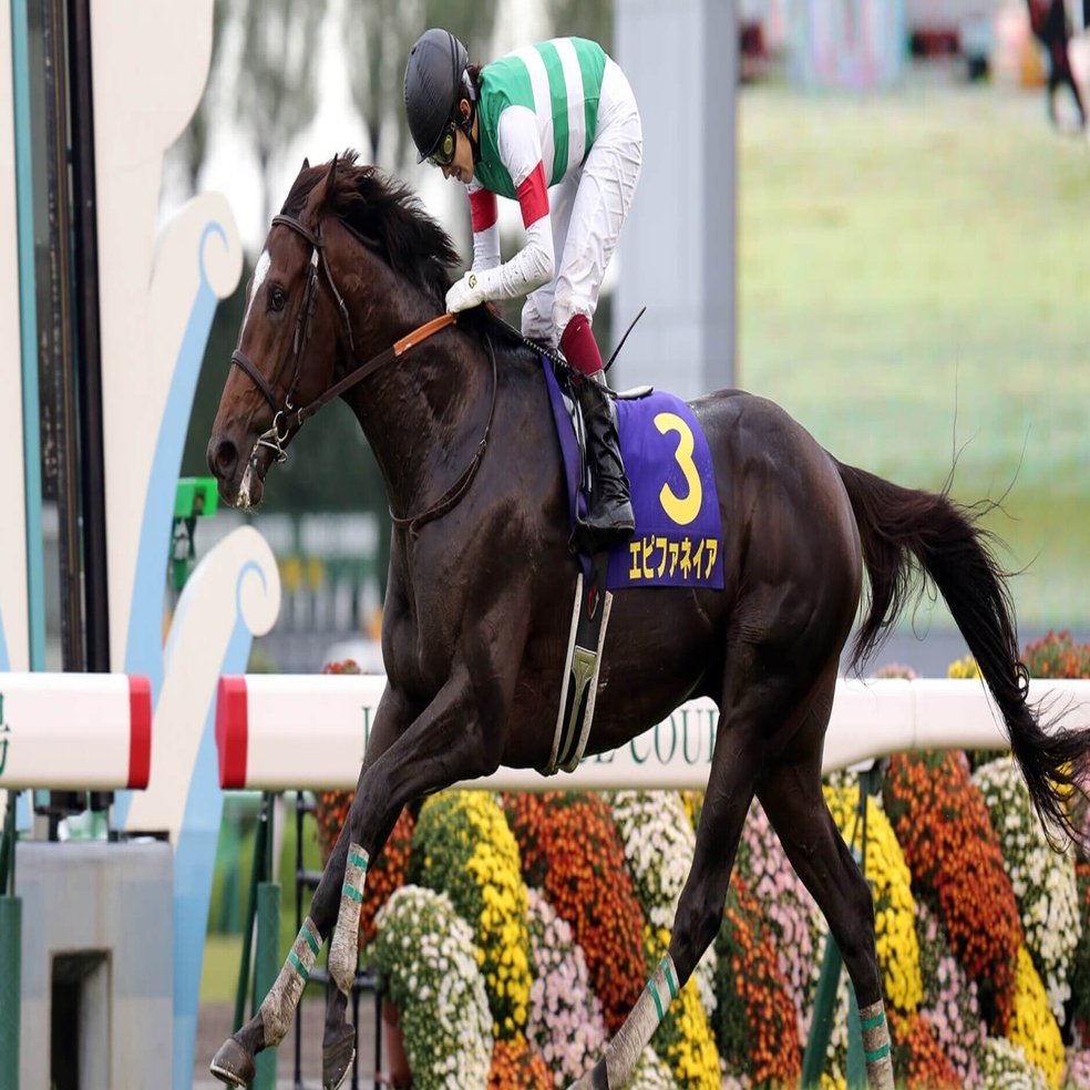 POG向け⑦エピファネイア産駒注目馬：クラブ馬編｜Key 【一口馬主手帳】