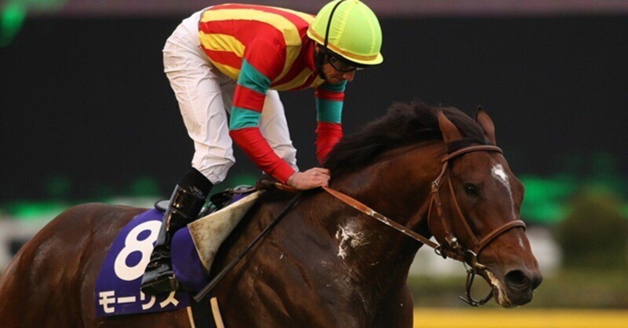 クラッシック馬の追求　競走馬の血統パターン クラシック馬の追求 - 《蓑虫屋》 競馬専門古書店
