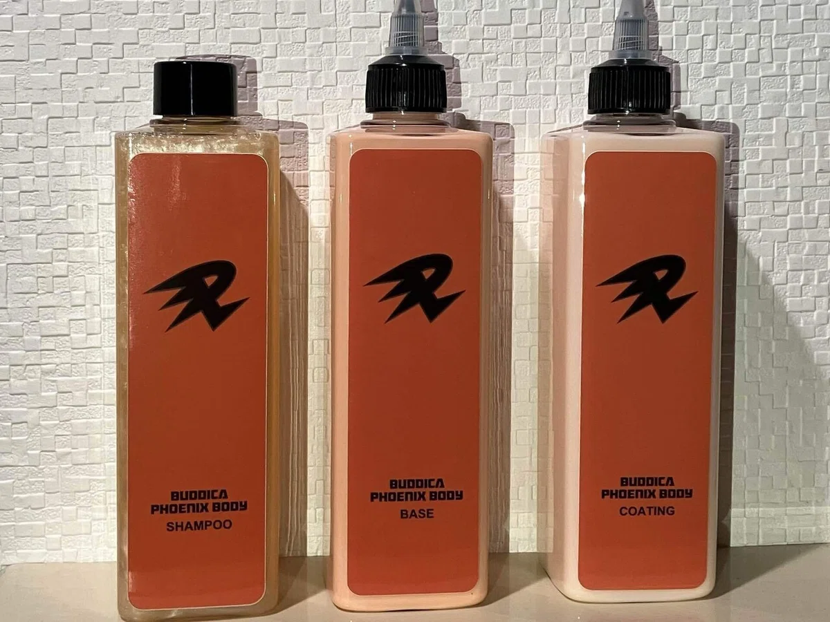 BUDDICA PHOENIX BODY（バディカ×ながら洗車）どんな製品？※実際の使用 