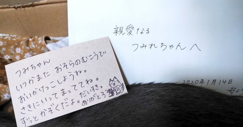 その死を悼むには悲しみが足らない みくりや佐代子 Note