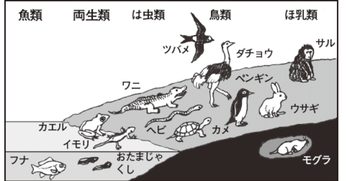 めんこ進化論①｜『あそび』と『まなび』研究所