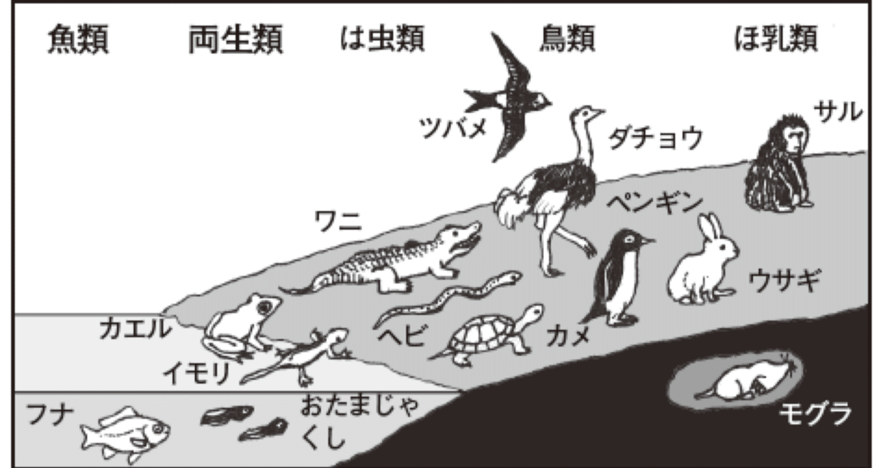めんこ進化論①｜『あそび』と『まなび』研究所