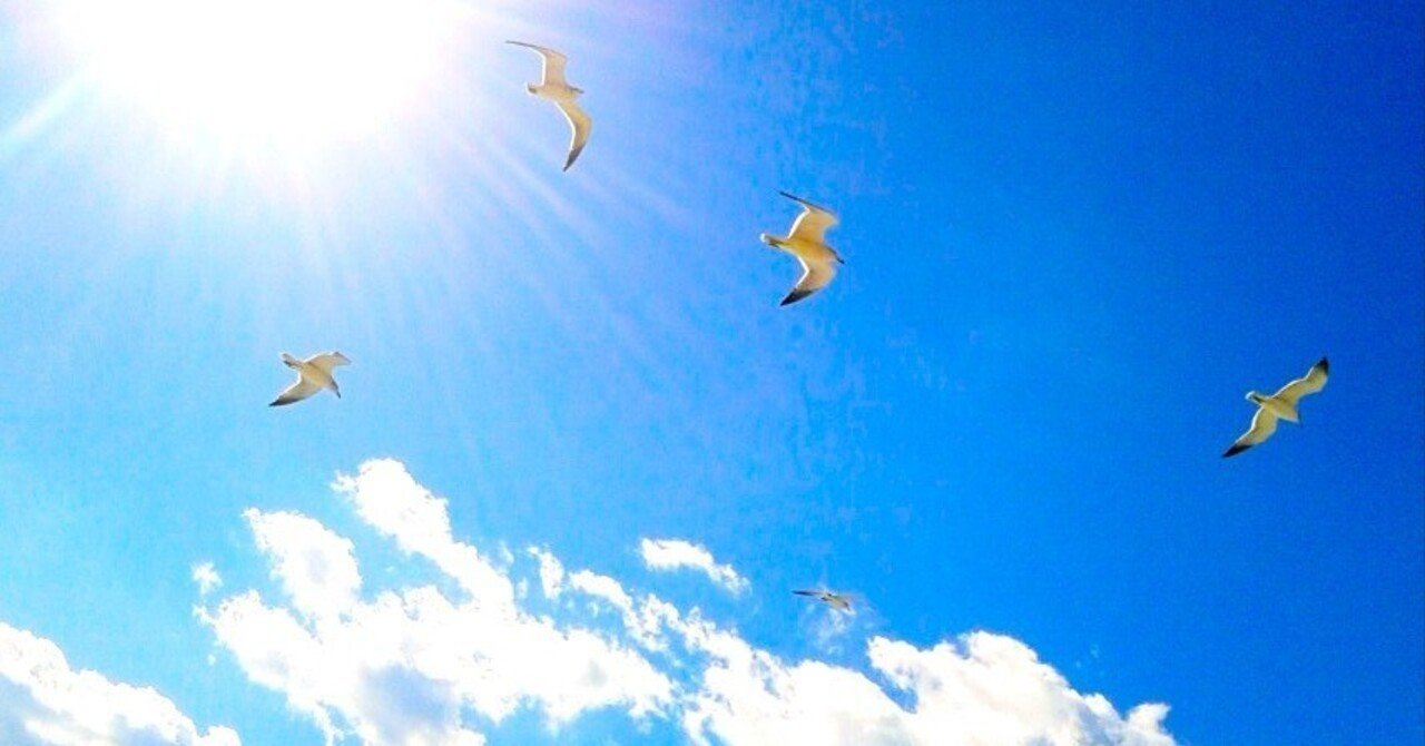 空と海と波と鳥 in Korea｜TSUKAJAC