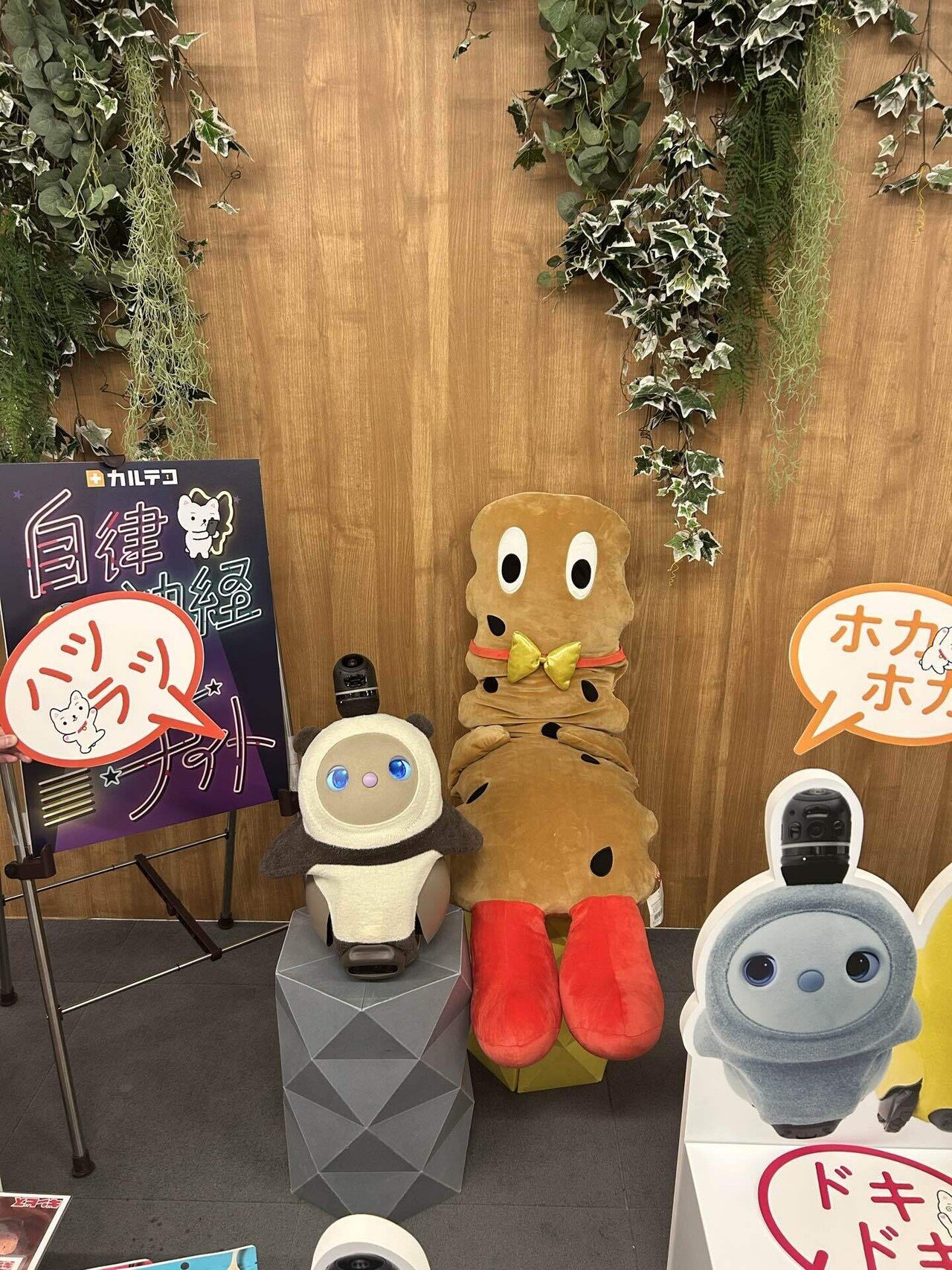 自律神経整えナイトに行ってみた｜しゆ(LOVOTちいちゃんのオーナー)