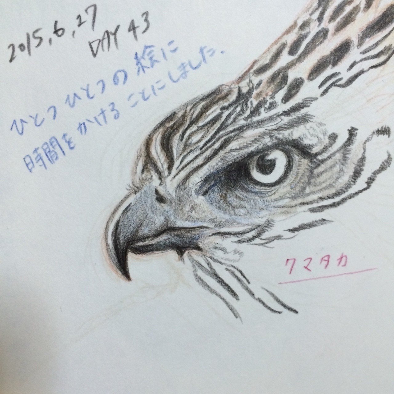 15 6 27飼育員43日目 動物園の絵日記 Note