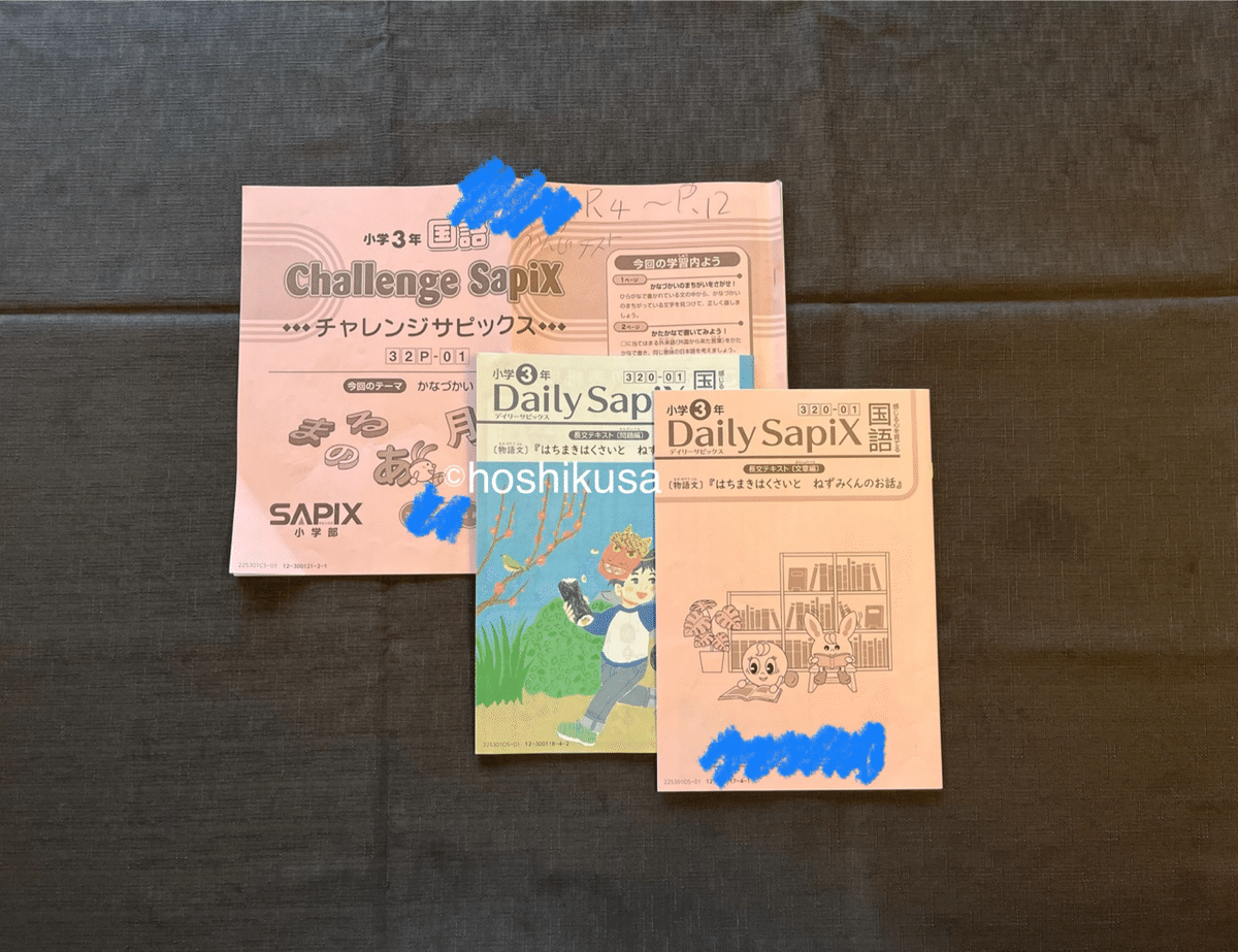 中学受験】今さらながら学習スケジュールを見える化！ SAPIX2