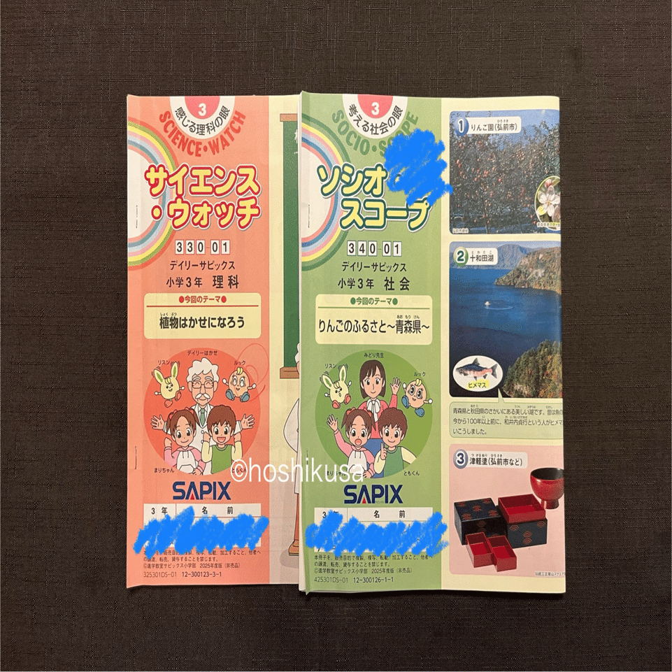 中学受験】今さらながら学習スケジュールを見える化！ SAPIX2年生▶︎3