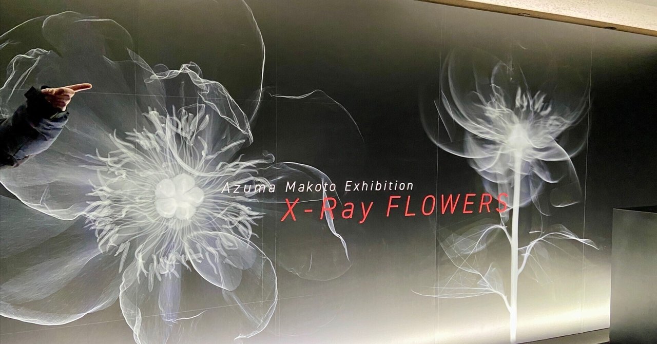 rectangle_large_type_2_b784d04