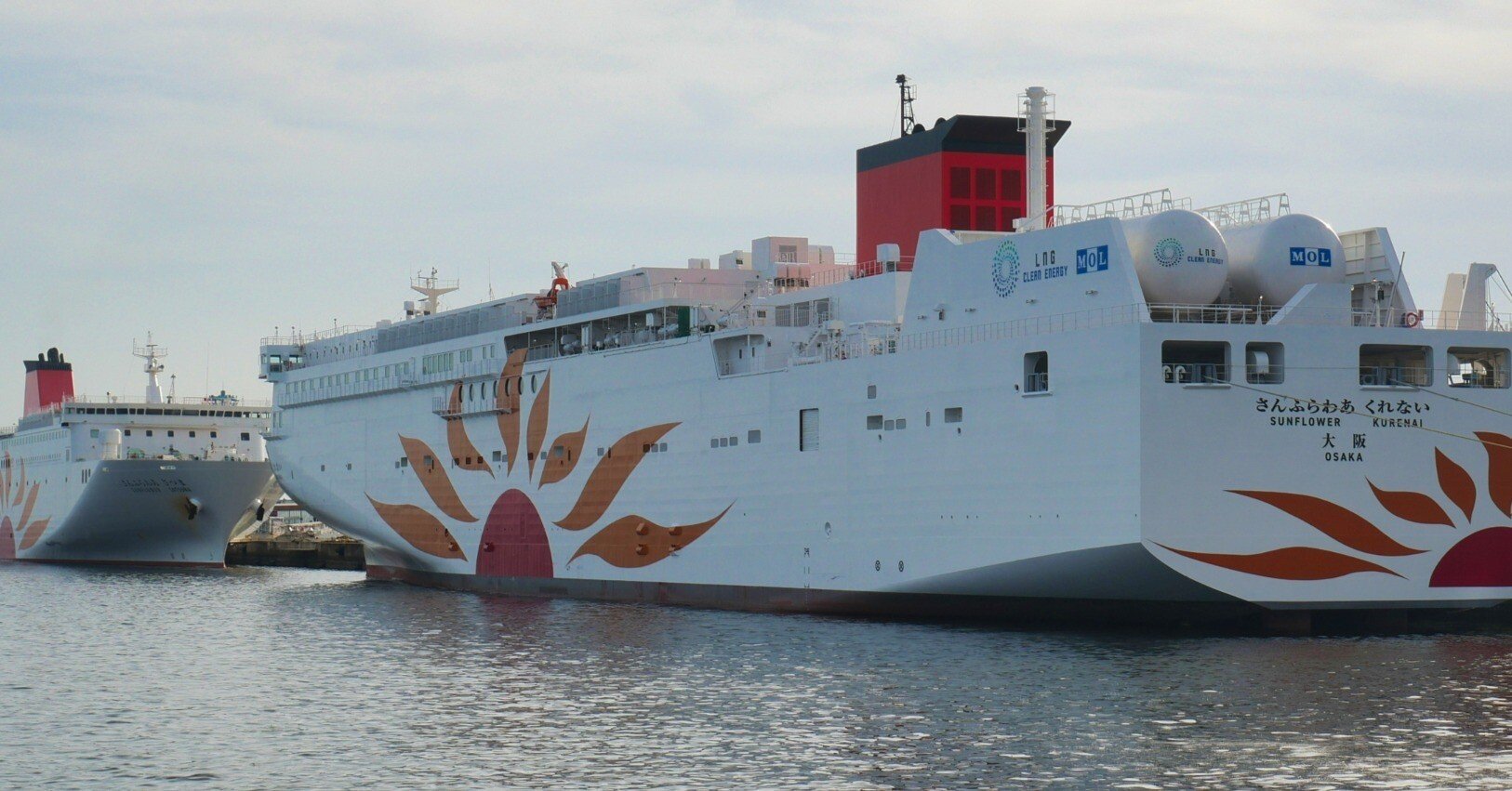 アザラー・アザラシ向け「さんふらわあ くれない・むらさき」ガイド