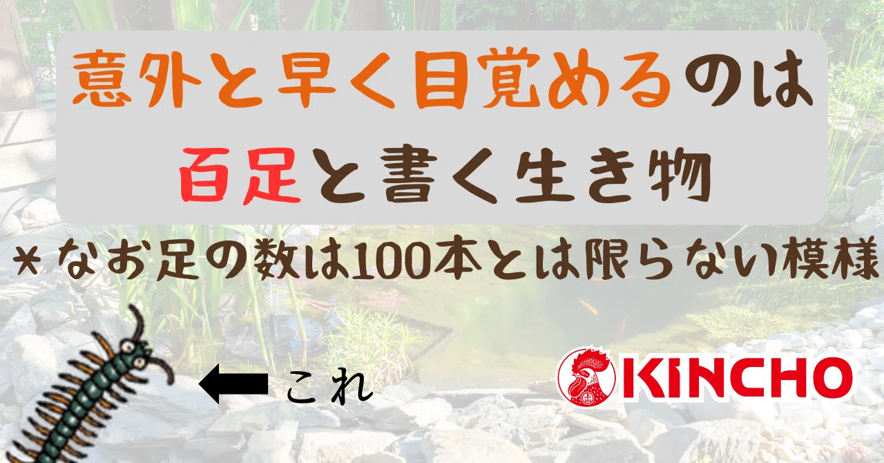 ハエ 生態と防除 ハエ～進化を極めた小さな精密機械｜KINCHO 大日本除虫菊株式会社