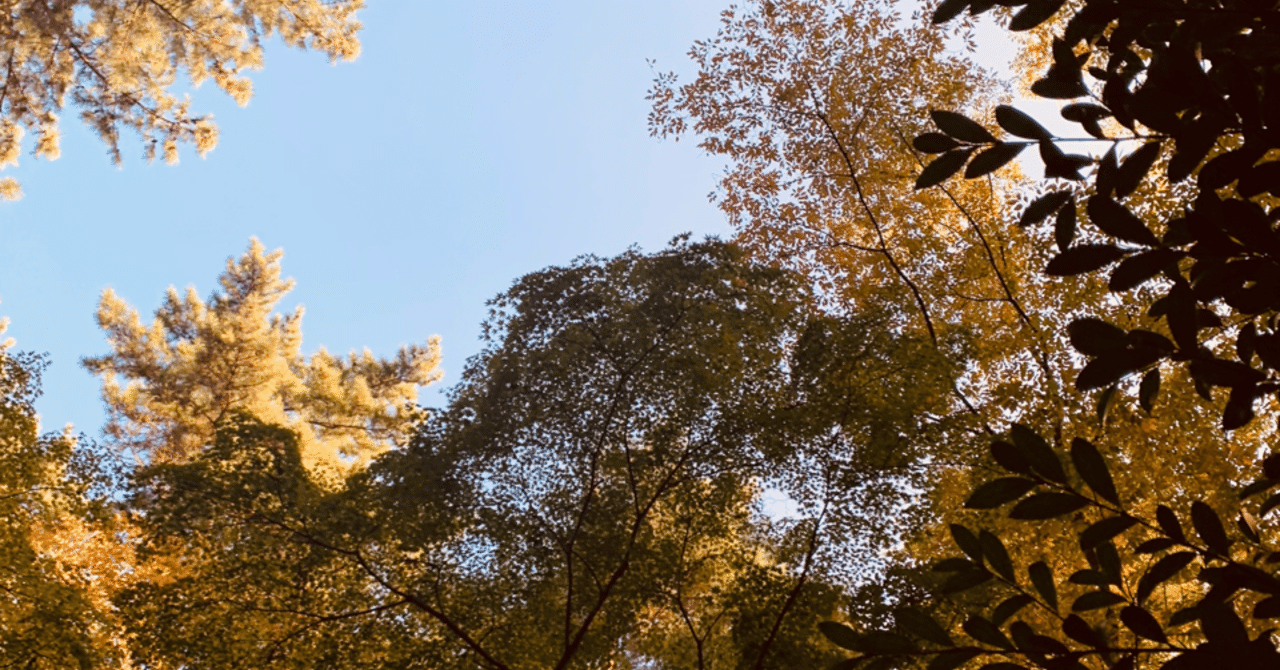 サ道のドラマがamazon prime videoビデオで配信開始 よっち note