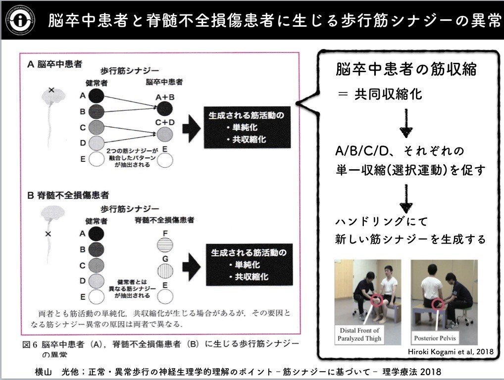 知識と臨床の繋がり 〜課題設定 × 姿勢制御 × 感覚入力 × 運動