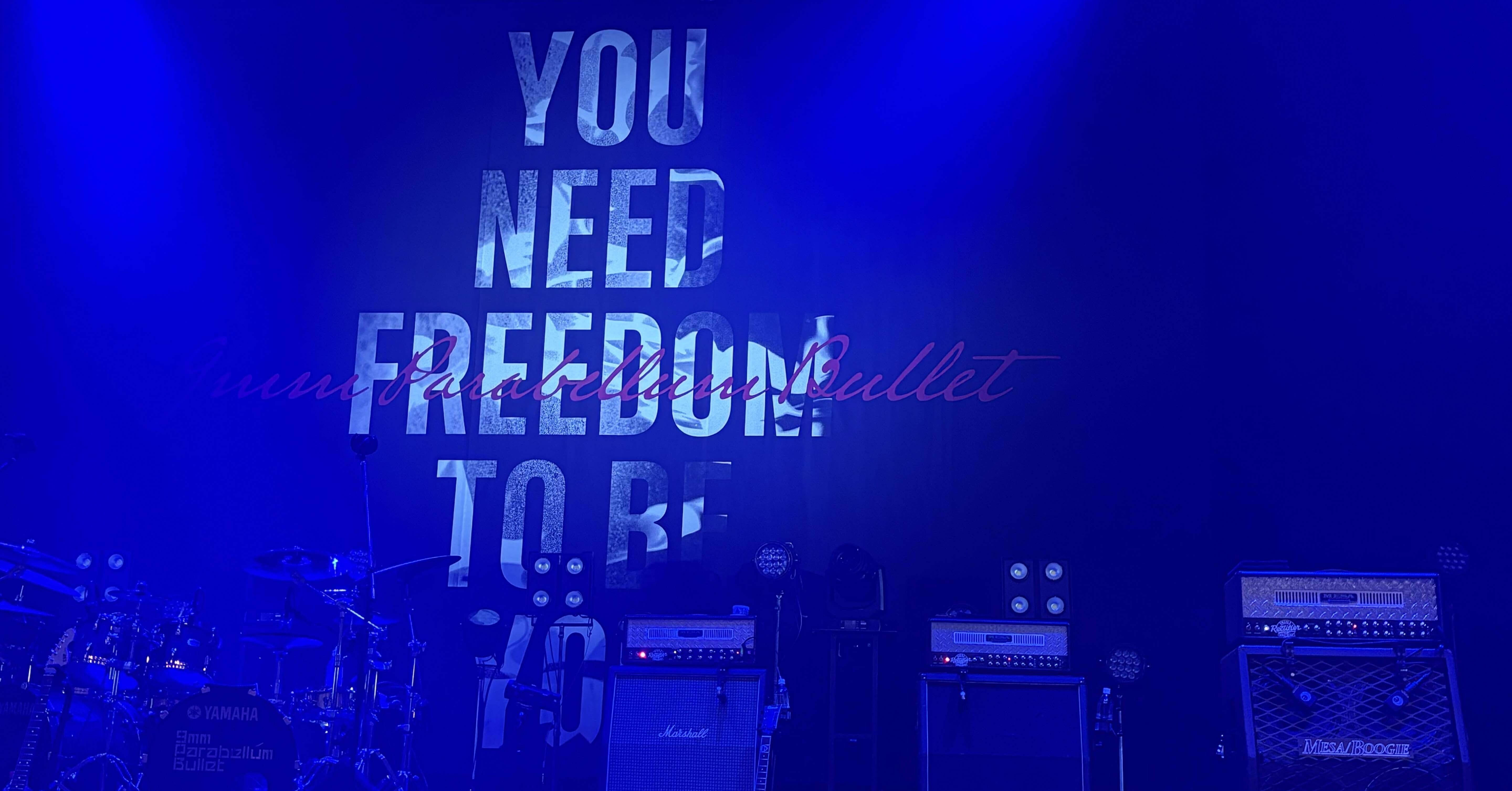 エレファント・トーク 夜のボタン CD YOU NEED FREEDOM TO BE YOU｜たっくんサーカス