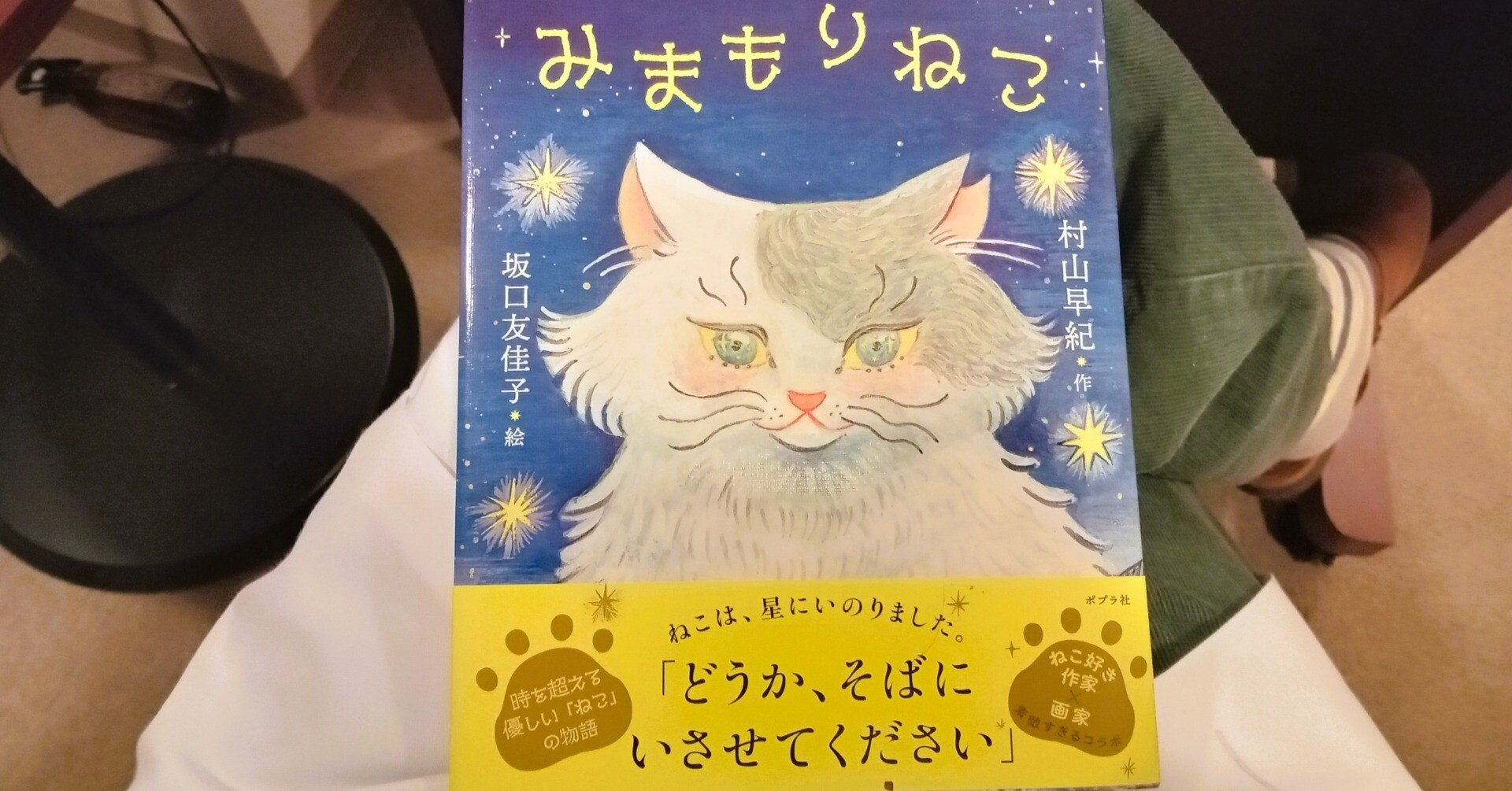 感想「みまもりねこ」｜香桑