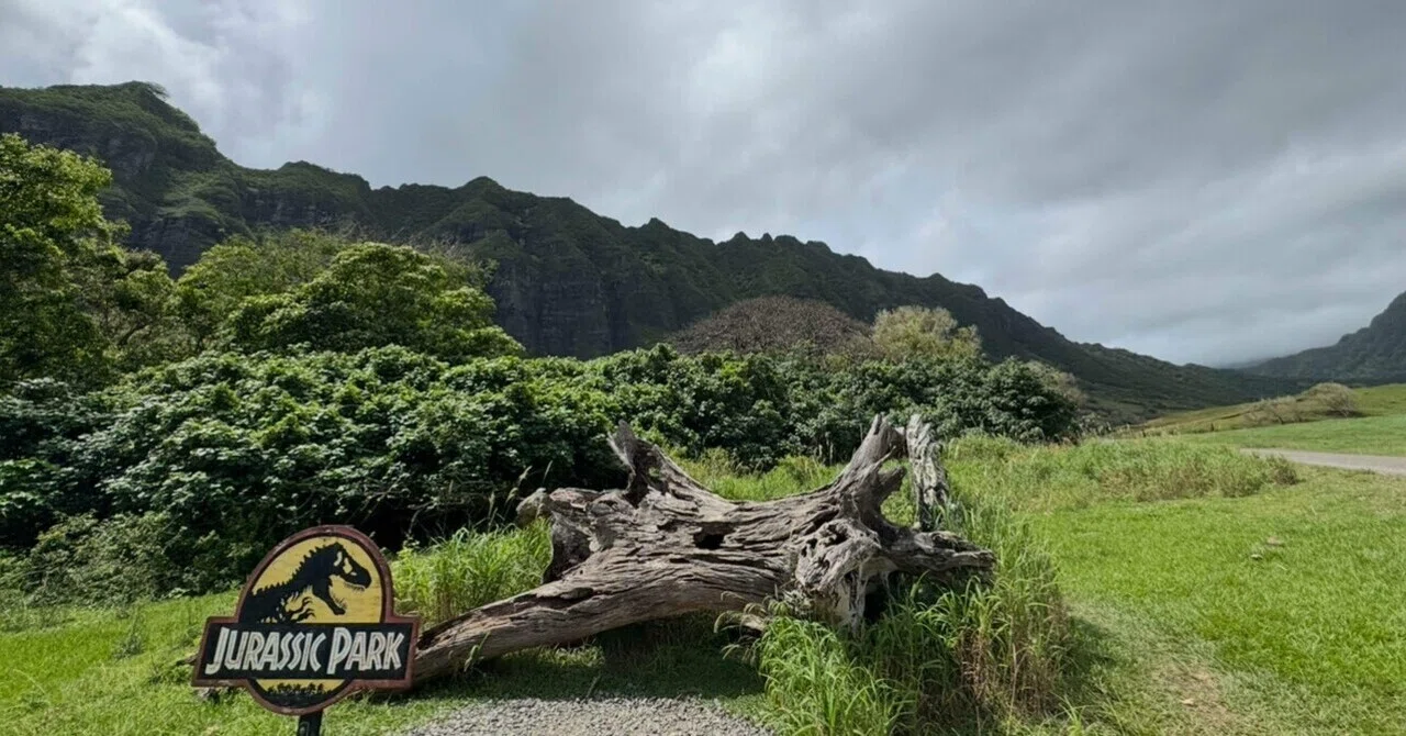 8 Hawaii旅行記 〜 ジュラシックパーク クラロアランチ Day6 〜｜yukota