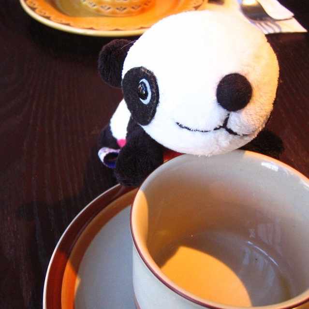 Carmine 「鳴けない鳥」という名曲｜velfon