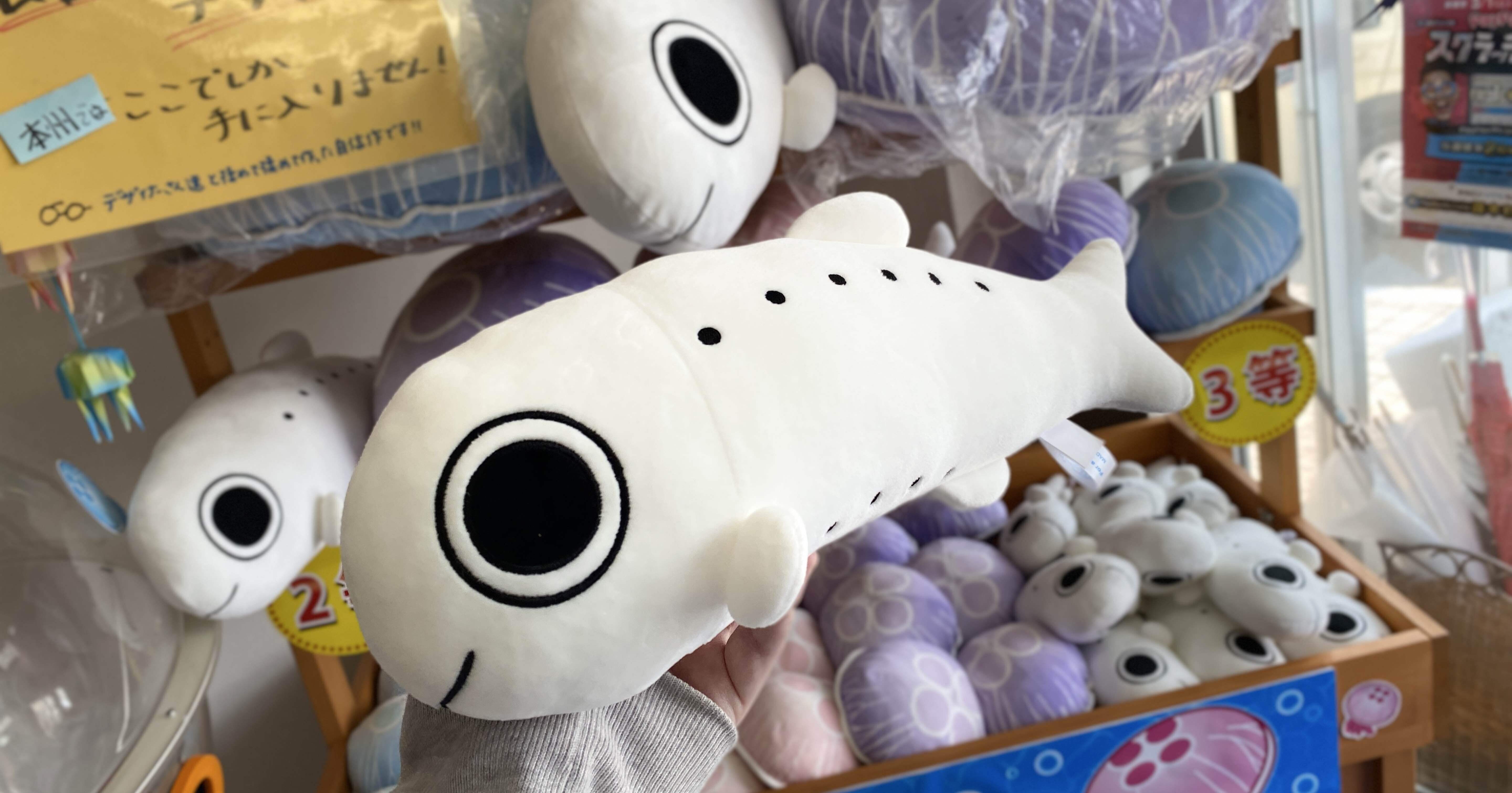 5d56fcaf8f48a8eee18424344c8660