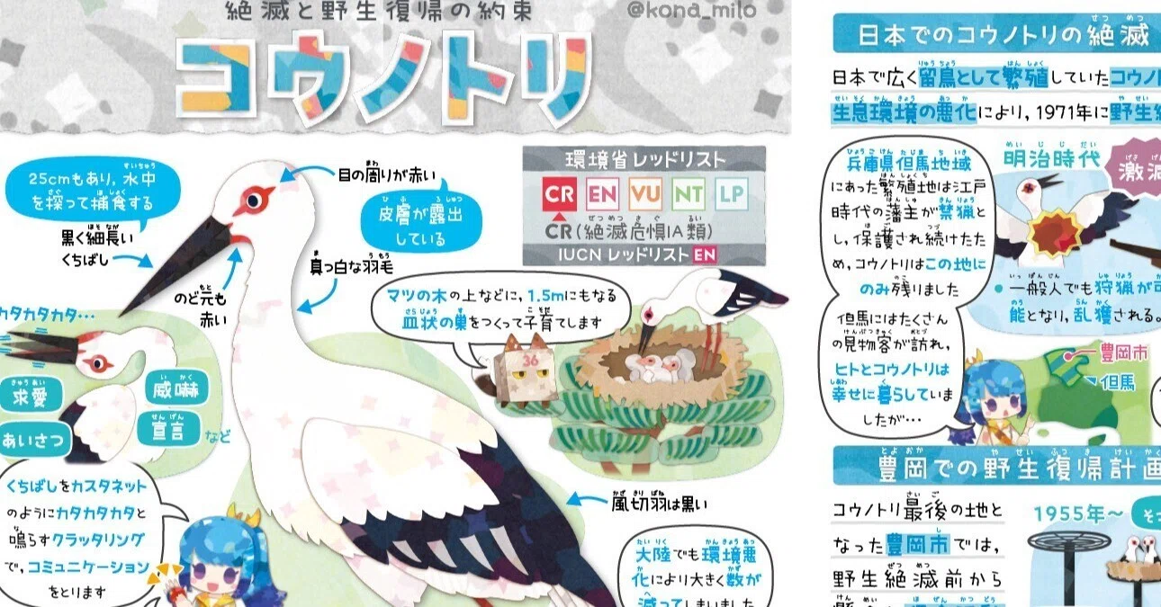 絶滅危機動物ファイル20「コウノトリ」｜キクチミロ