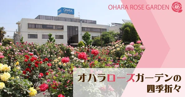 株式会社オハラ|note