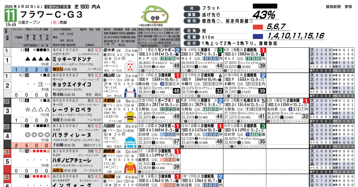 50%OFF 3/22(土)夢限競馬新聞(無料版)｜夢限競馬新聞 その他