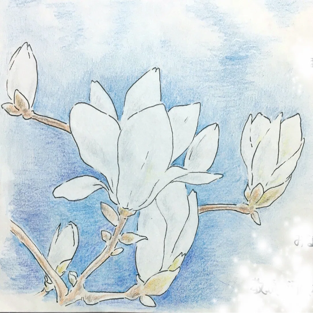絵のはなし｜ひつまぶし