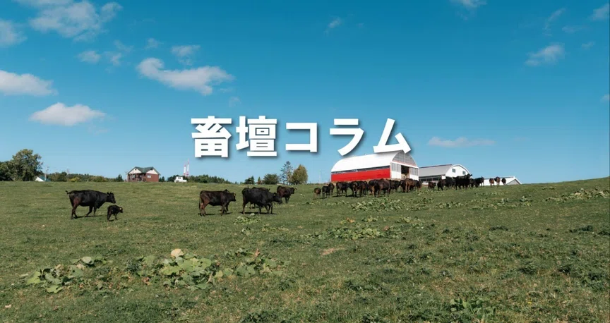 畜壇コラム|畜壇(ちくだん)公式|note