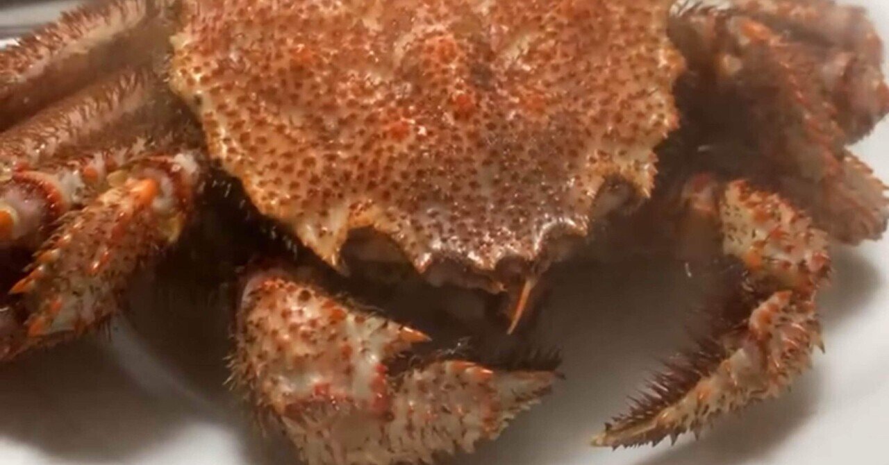 蟹江町に行ったら、カニエ・ウェストと蟹を食べる妄想が止まら 蟹江町に行ったら、カニエ・ウェストと蟹を食べる妄想が止まら