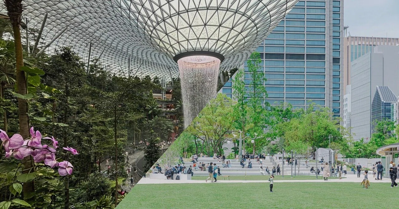 神戸市が都市緑化に本腰！シンガポールから学ぶ戦略とは？｜神戸市公式note