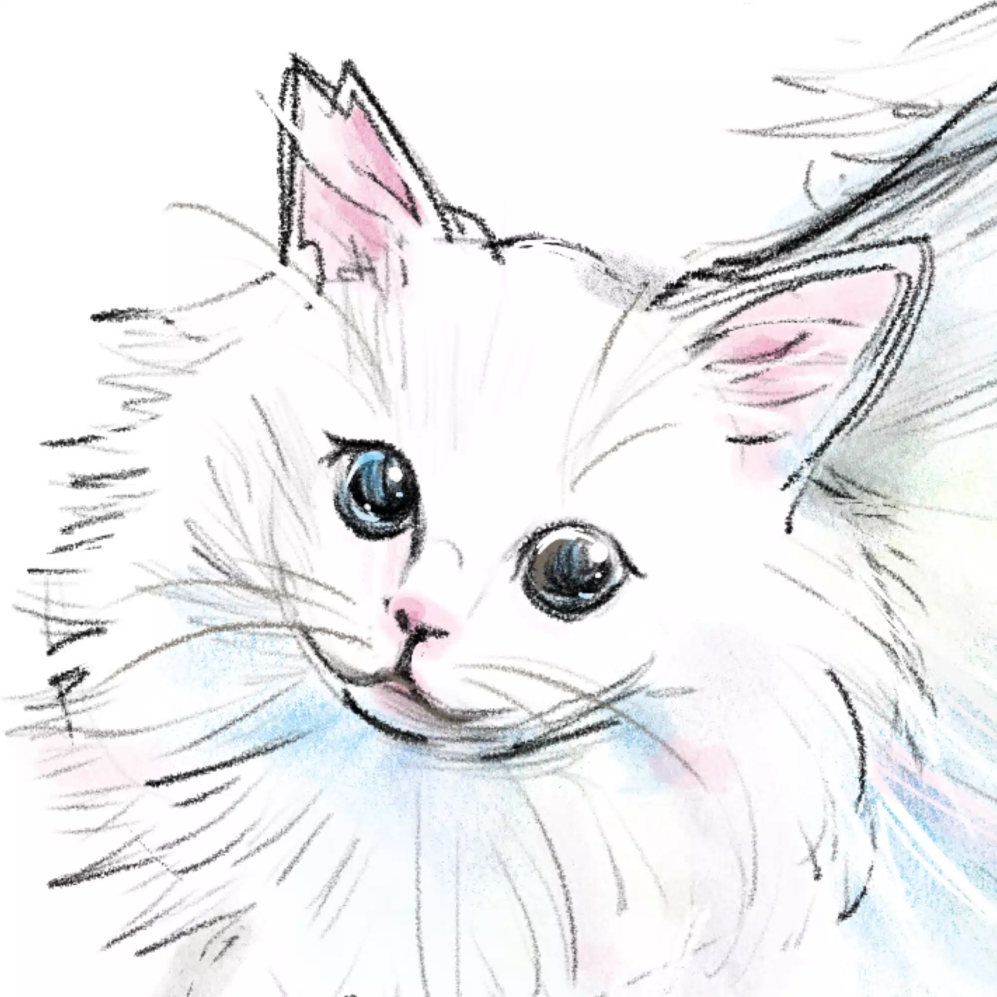 もちこ