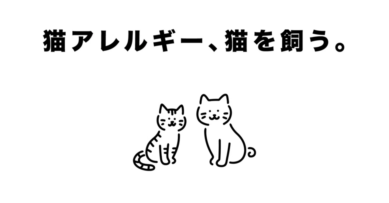 猫アレルギー、猫を飼う。｜松岡タイキ