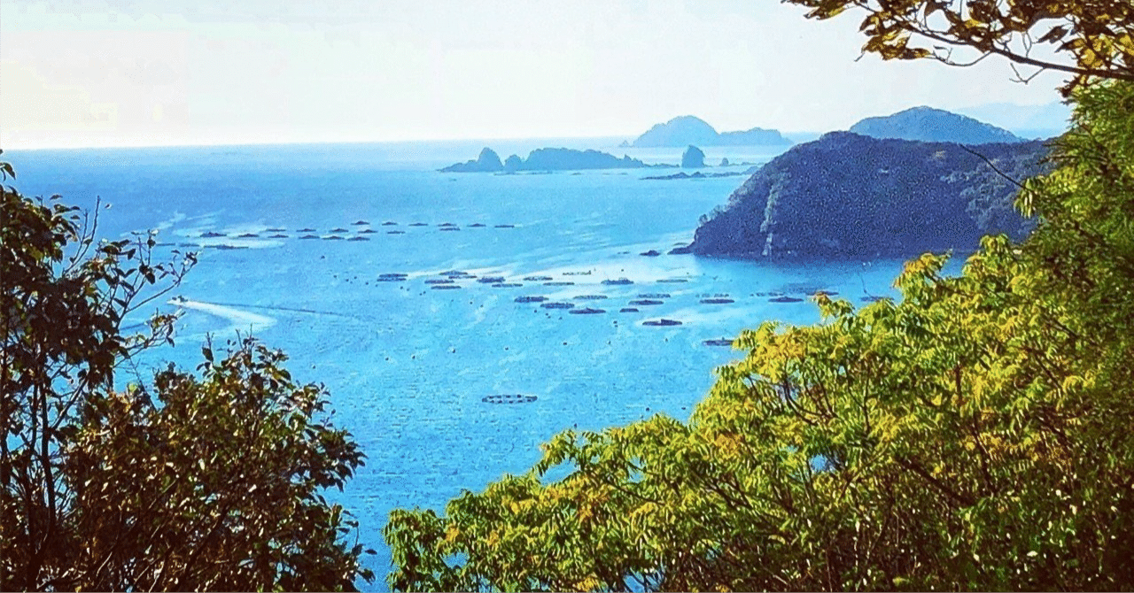 波の見える風景［改訂新版］／真島俊夫｜たろ