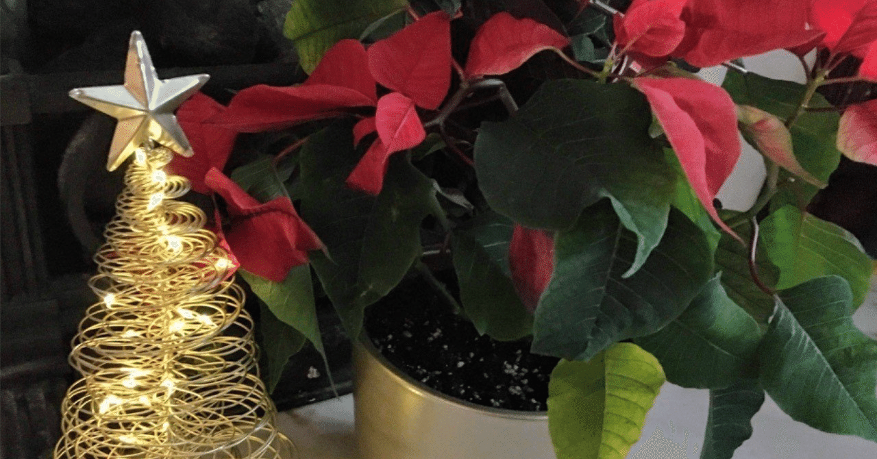 2025年最新】クリスマスの経済効果についての研究｜TOP