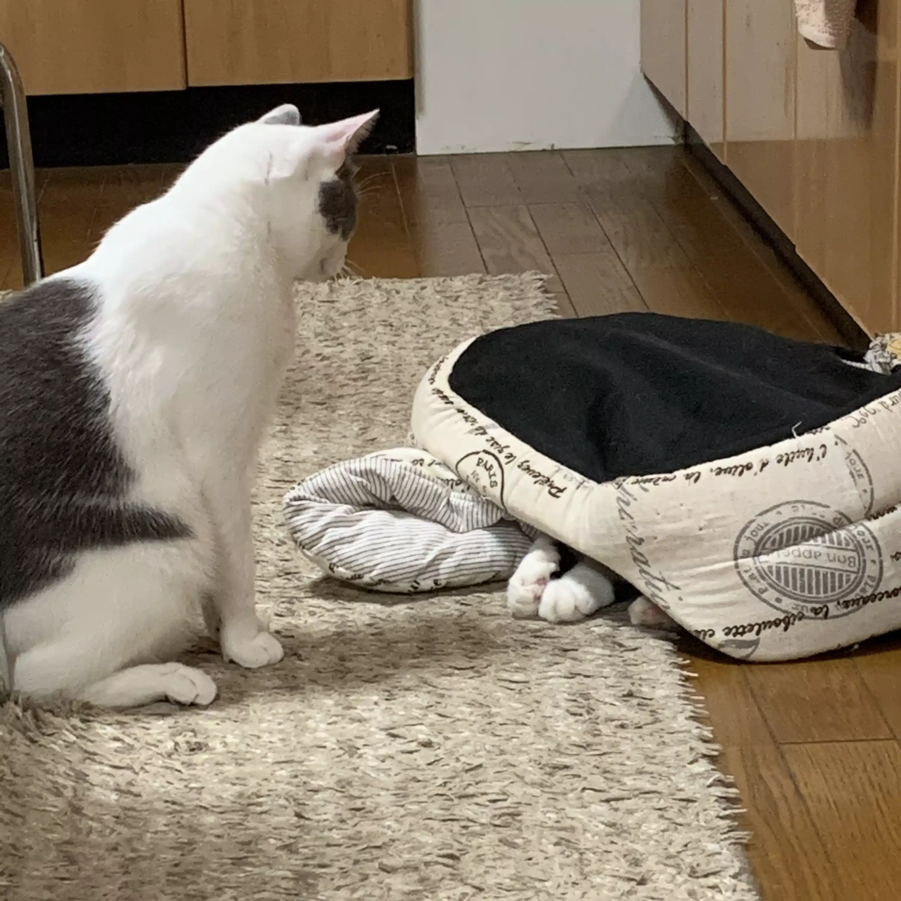 りゅ-----