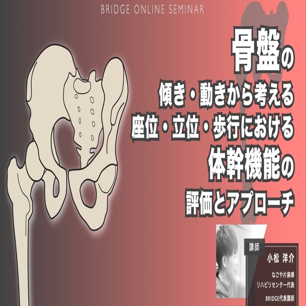 骨盤から考える体幹の評価とアプローチ：ONLINEセミナースライド・動画