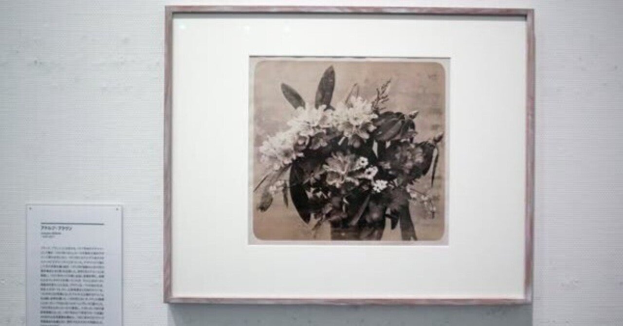 鶏卵紙『アルビュメン・プリント』の覚書｜flexyamamoto