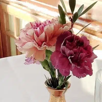 前田大翔 Prince Release Party!!～30th Anniv.～（リリパ） 参加