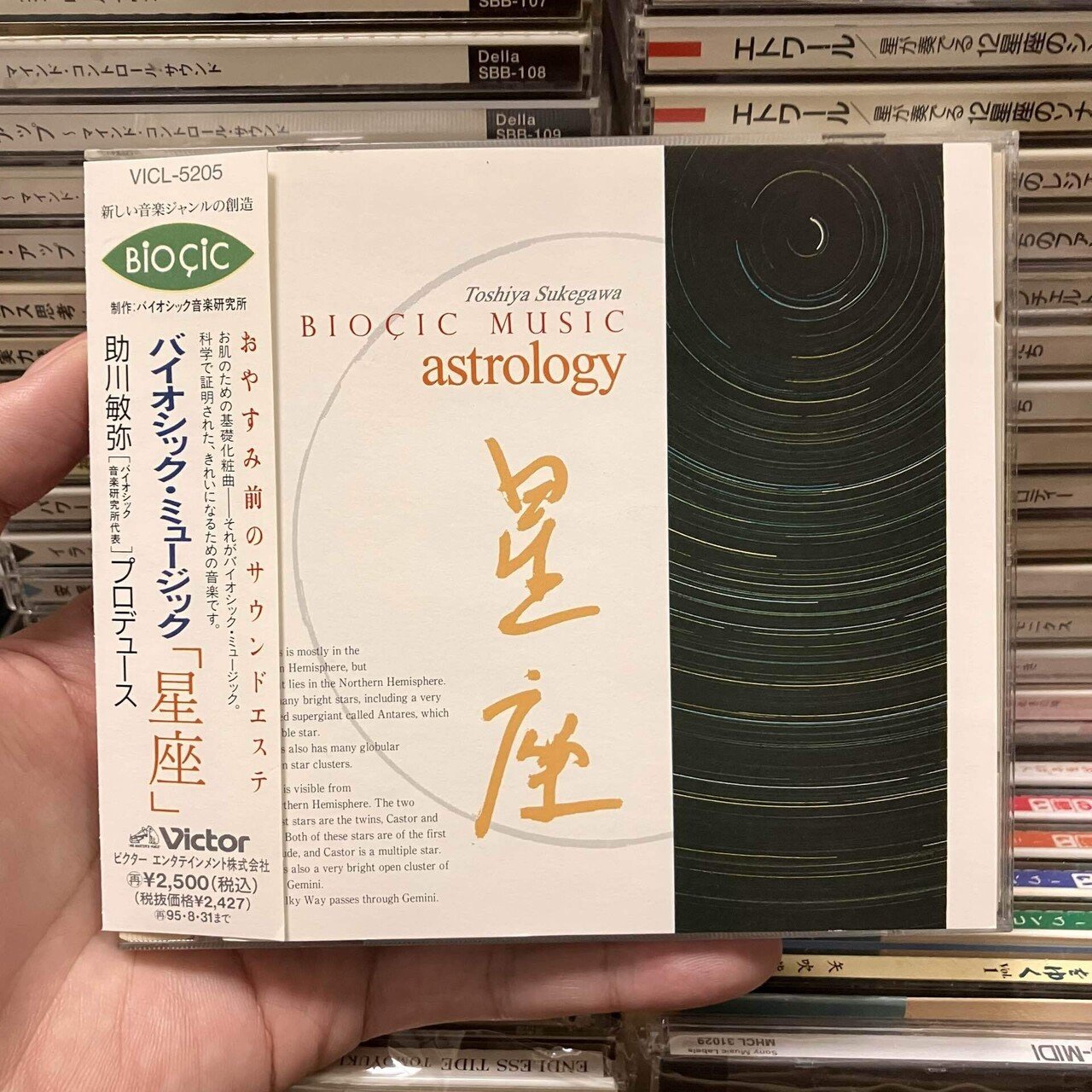 ヒーリング音楽の探求】ビクター「バイオシック・ミュージック」編