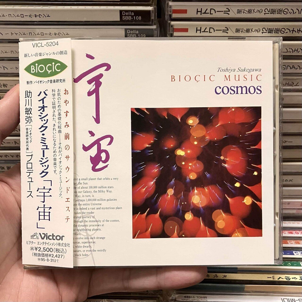 ヒーリング音楽の探求】ビクター「バイオシック・ミュージック」編