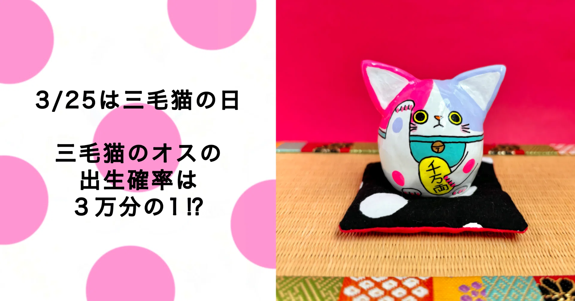 3/25は三毛猫の日！なんで？｜megumix