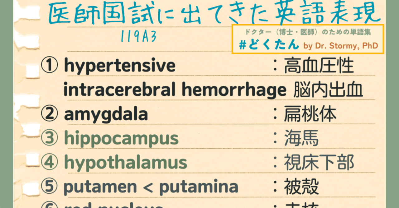 rectangle_large_type_2_6e35e6b