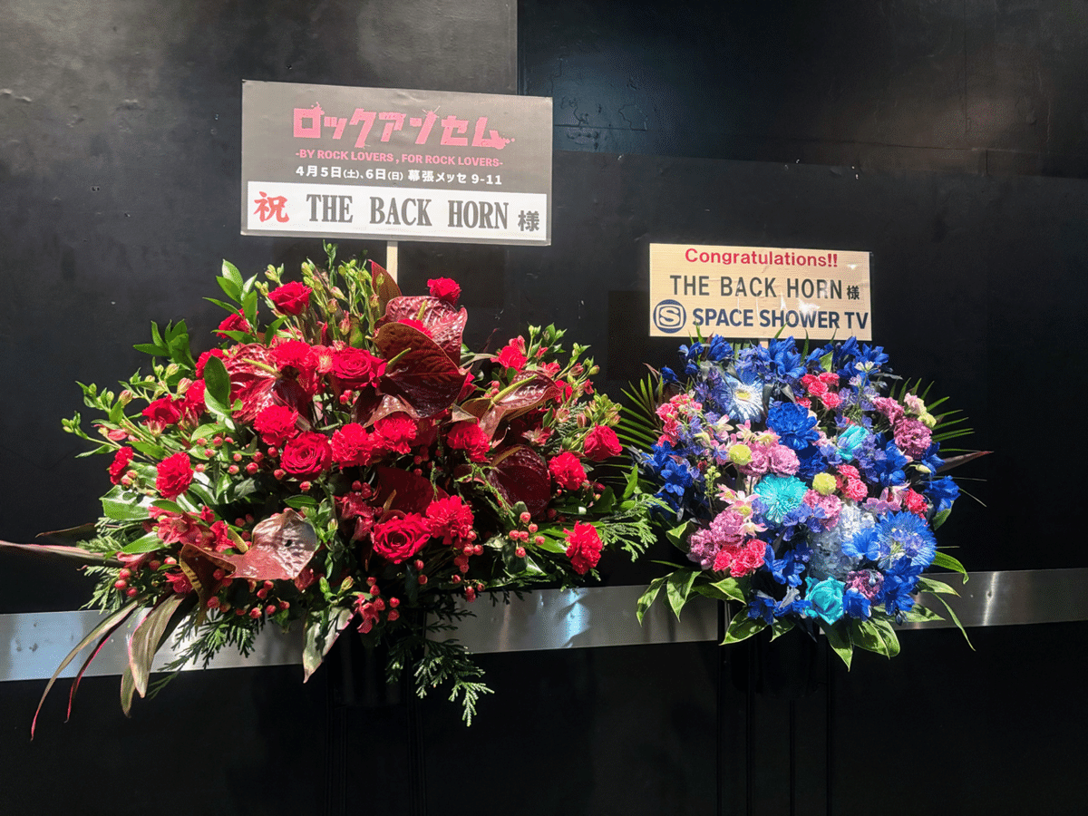 ネタバレあり ライブ感想】THE BACK HORN「KYO-MEIワンマン