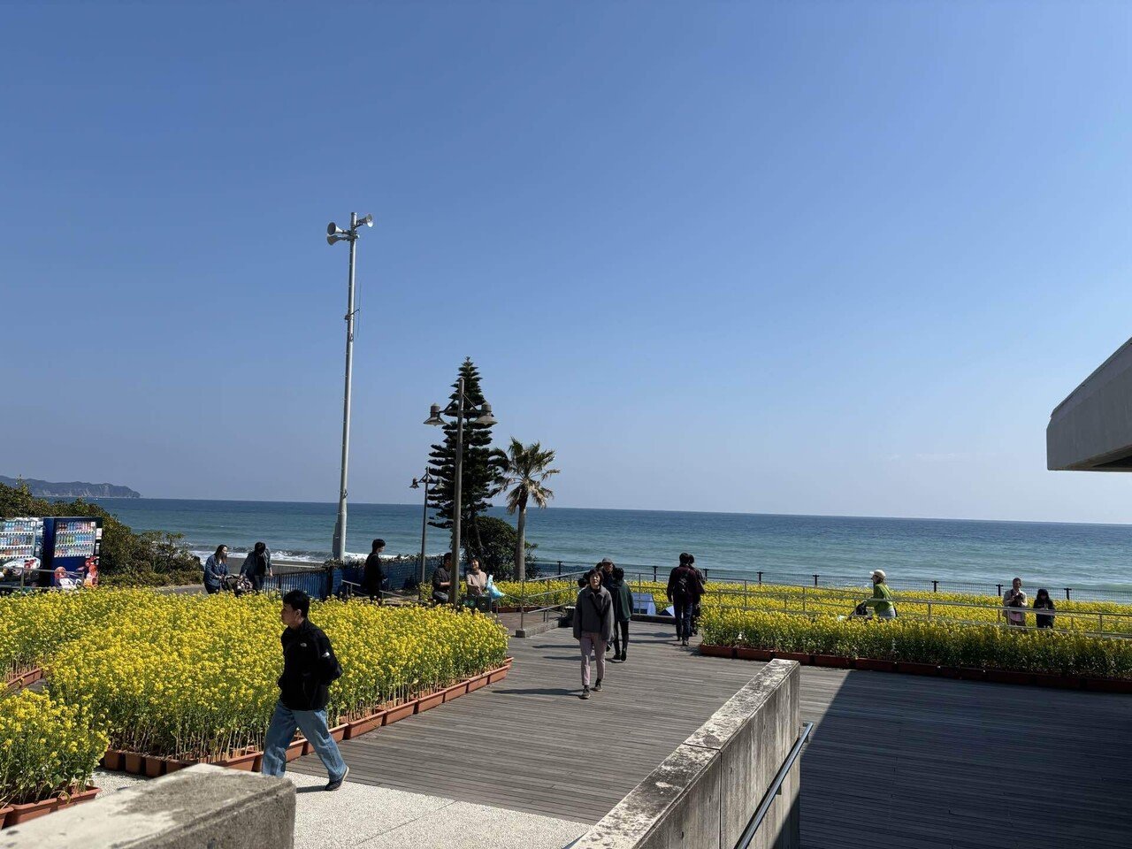 千葉の静かな海で過ごしたい 安房鴨川&館山ひとり旅 Day1｜𝕟𝕒𝕟𝕠❀